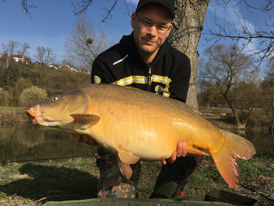 15kg Spiegelkarpfen auf C3 Wafters Hakenköder